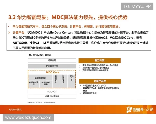 顶盛体育集团全面解析其在体育产业中的战略布局与未来发展方向
